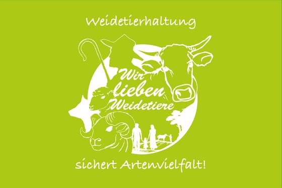 Herren T-Shirt, Motiv Kuh