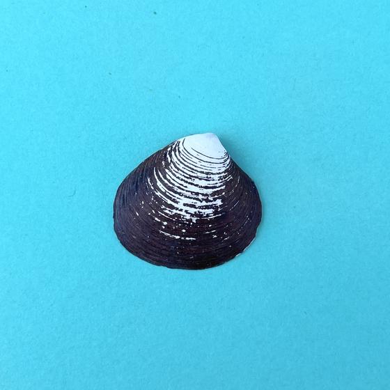 anhaenger_astarte_granat_violett