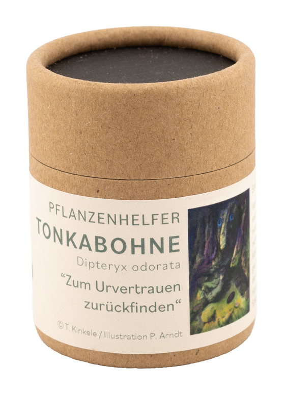 Tonkabohne Pflanzenhelfer