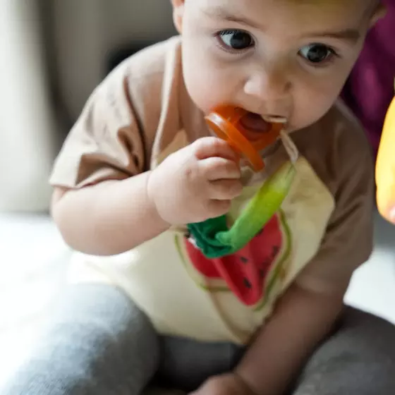 Oli&Carol Pacifier Clip Luke the Leek