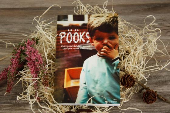 Pööks – Kurzgeschichten eines Jungen vom Lande