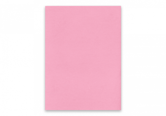 reinheft L - punktiert Notizheft, rosa