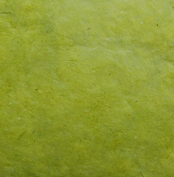 Daphne - maigrün