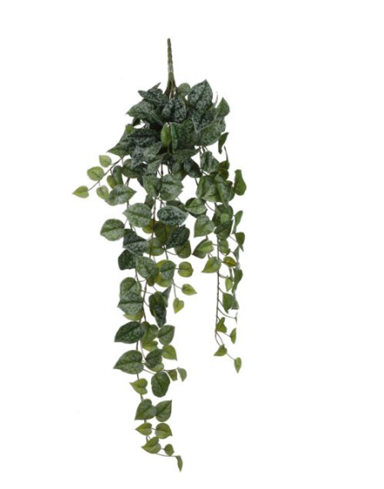 Kunstpflanze | Zweig Scindapsus hängend - 86 cm 