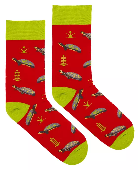 Organic Socken Schildkröte