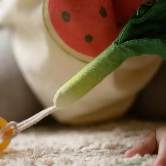Oli&Carol Pacifier Clip Luke the Leek