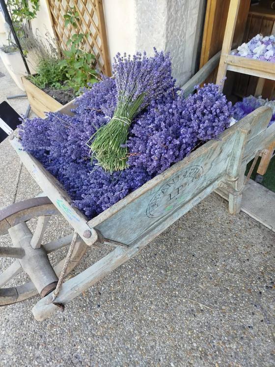 Reines Provence Lavendelöl