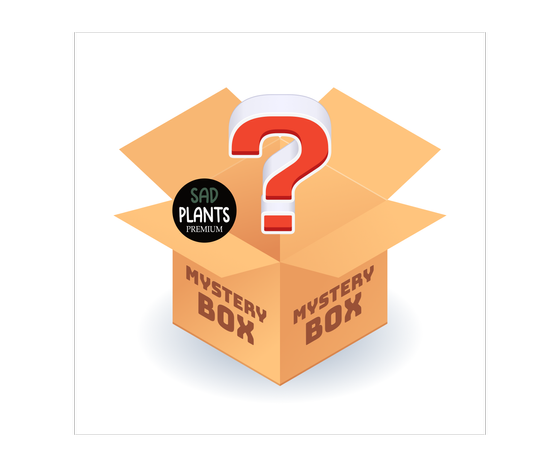 Sad Plants Mystery Box ab