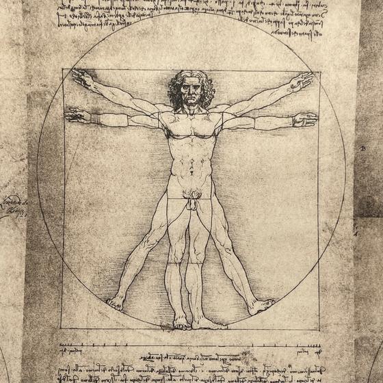 Italienisches Buntpapier - Da Vinci