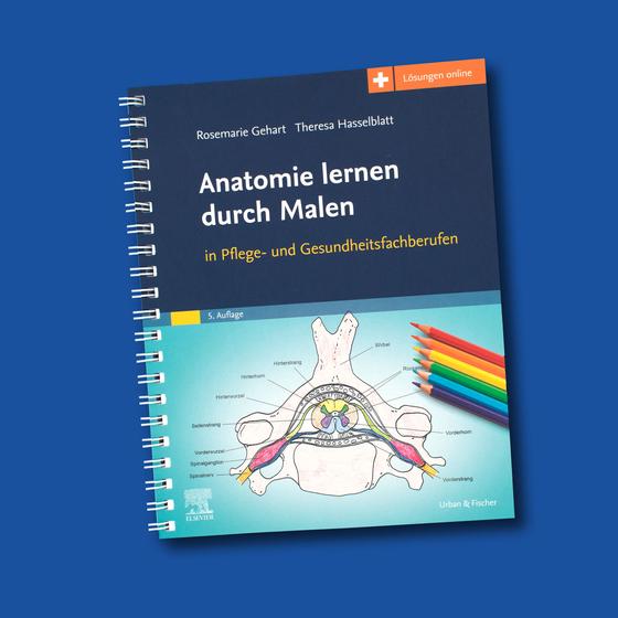 Anatomie lernen durch Malen