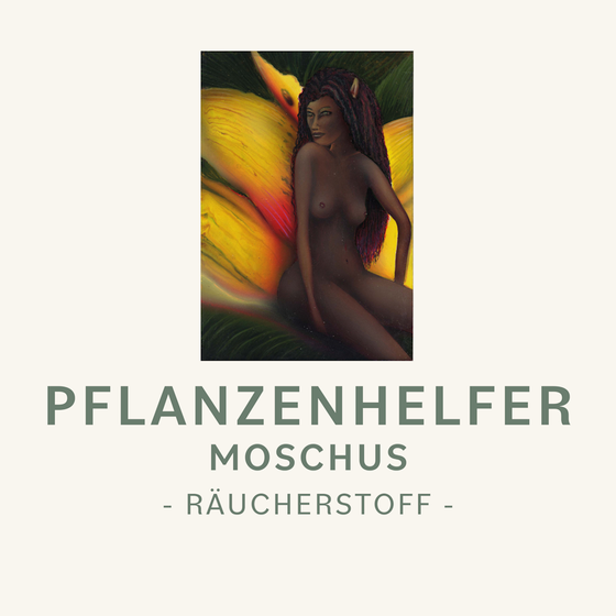 Moschuskörner Pflanzenhelfer