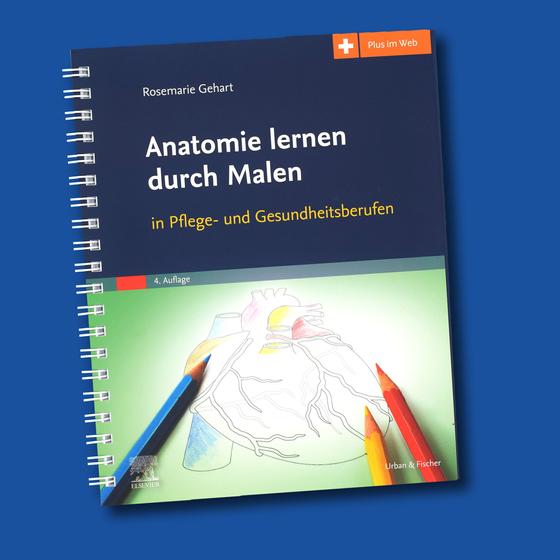 Anatomie lernen durch Malen