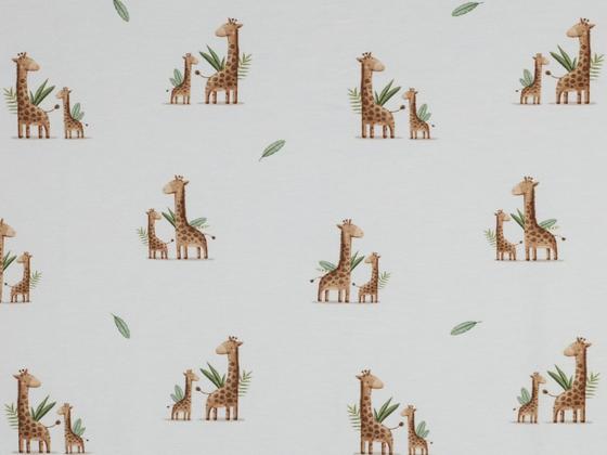 Jersey Giraffen Safari