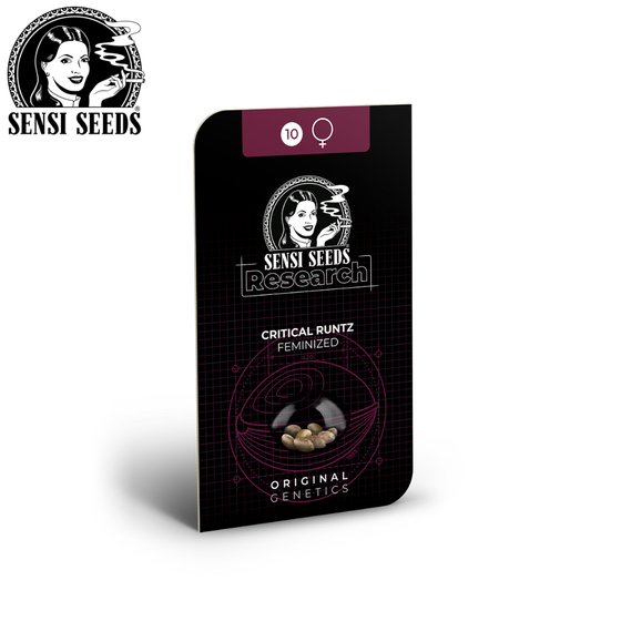 Samen, Sensi Seeds®, Critical Runtz
