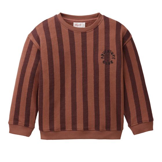 People wear Organic Sweat Pollover Blockstreifen Mahagoni