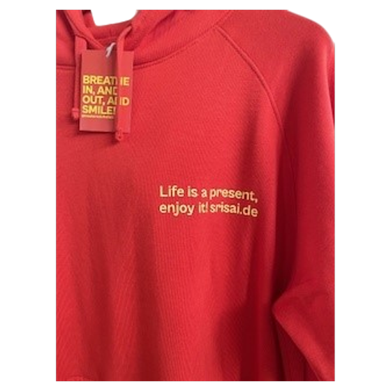 SSPY Sweatshirt / Hoodie