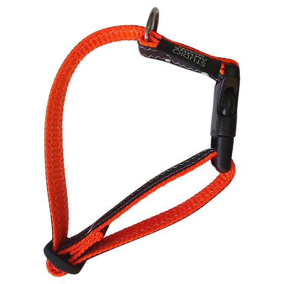 Upcycling Hundehalsband Unique S