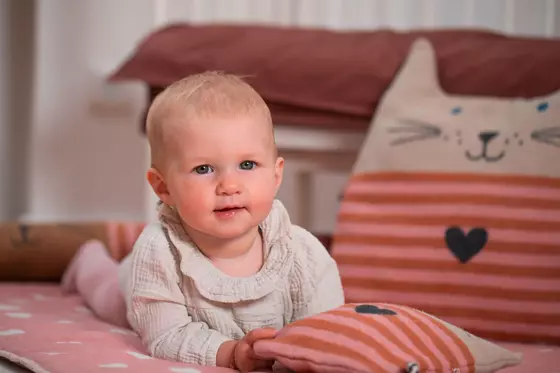 David Fussenegger Körnerkissen Katze