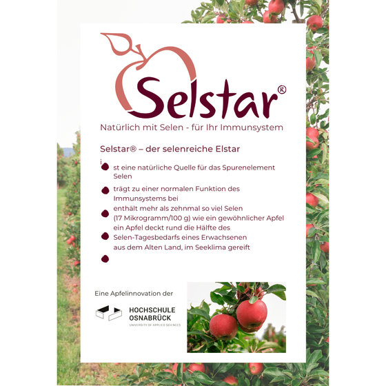 Selstar Infomaterial 