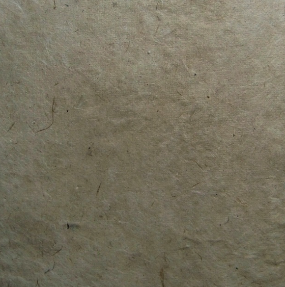Edgewothia-Papier (dick)