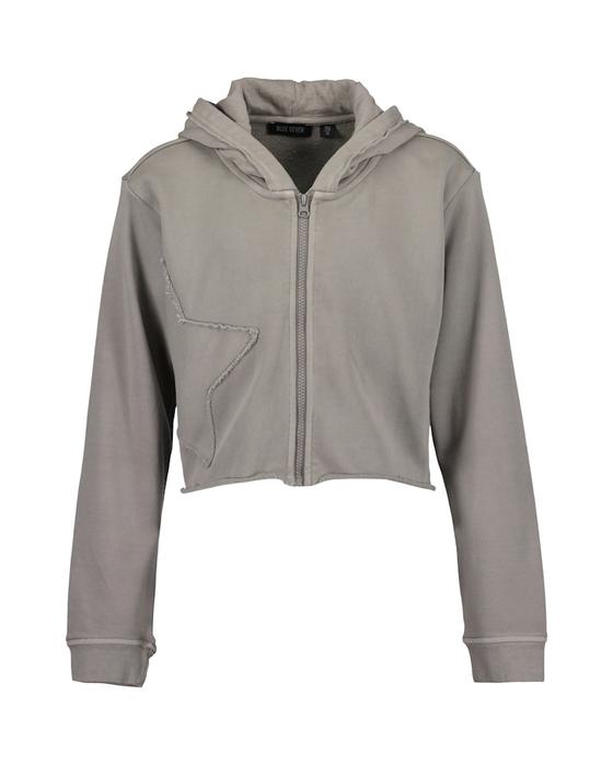 Sweatjacke mit Kapuze im Shabby-Style, grau