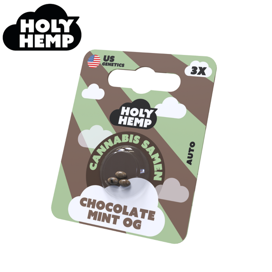 Samen, Holy Hemp, Chocolate Mint OG