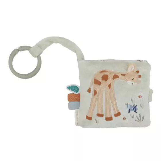 Little Dutch Buggy Buch
