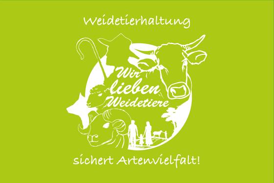 Damen T-Shirt, Motiv Kuh