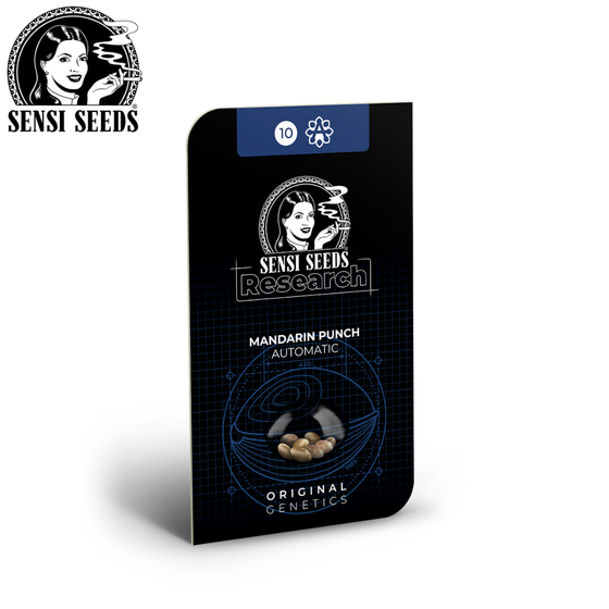 Samen, Sensi Seeds®, Mandarin Punch, Auto