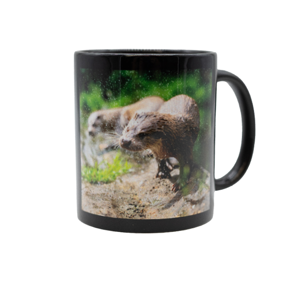 Tasse - OTTER-ZENTRUM "Otter 3"