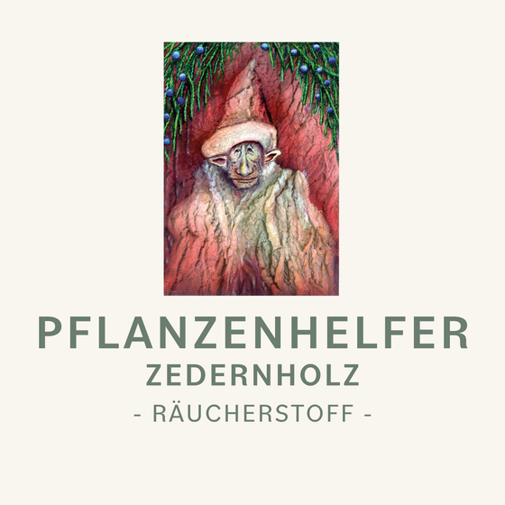 Zedernholz Pflanzenhelfer