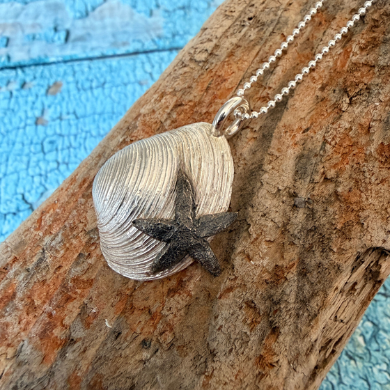 anhaenger:silber_venusmuschel_ostsee