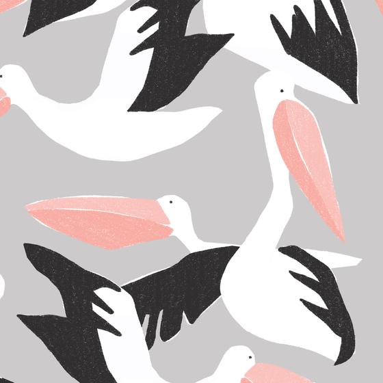 Cloud9 fabrics Canvas Collective Pelicans
