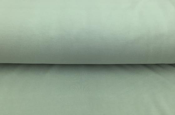 Modal Sweat Scupro mint