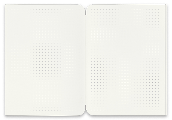 reinheft Nachfülleinlage L punktiert