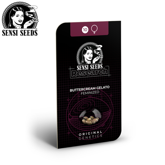 Samen, Sensi Seeds®, Buttercream Gelato