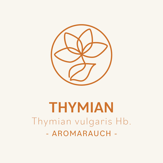 Thymian