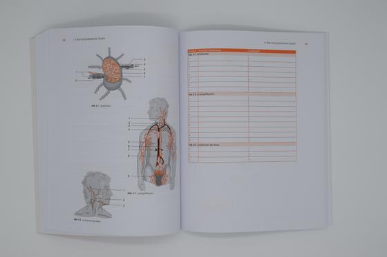 Anatomie lernen für den Rettungsdienst