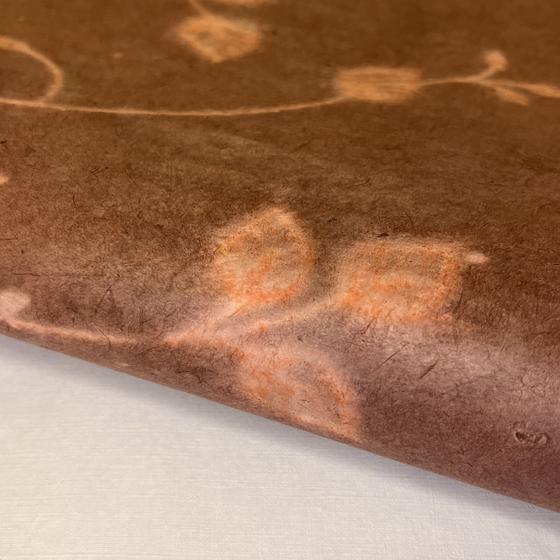 Daphne (Nepal), Solardruck Zweige