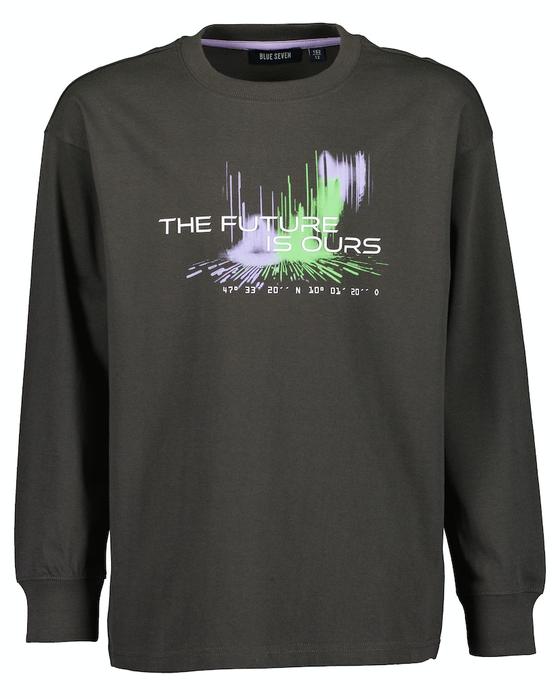 Langarmshirt, reine Baumwolle, dunkelgrau