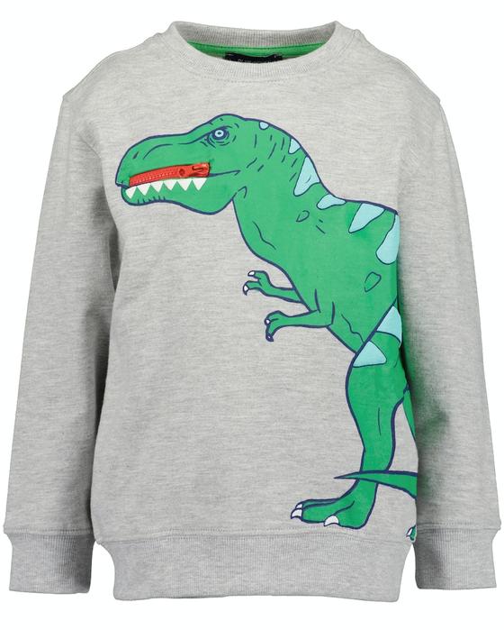 Sweatshirt "Dino", Baumwolle, nebel