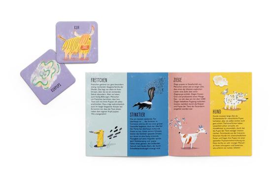 Laurence King Spiel Wer hat gepupst?