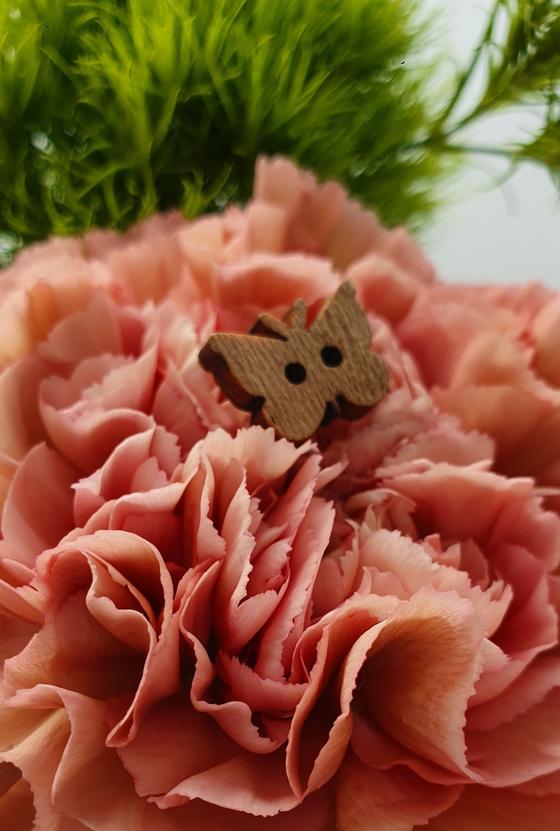Knopf Butterfly