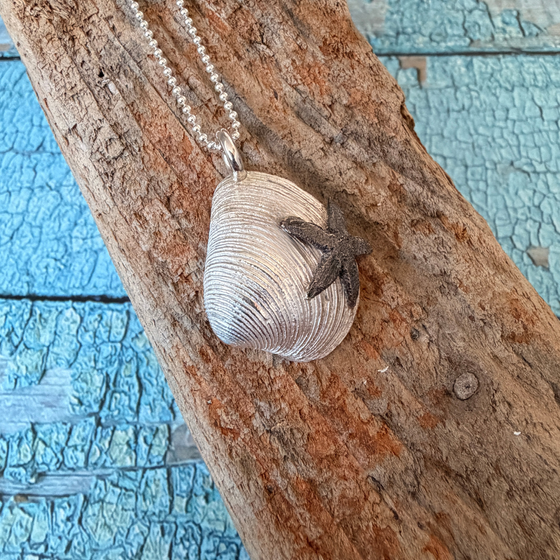 anhaenger:silber_venusmuschel_ostsee
