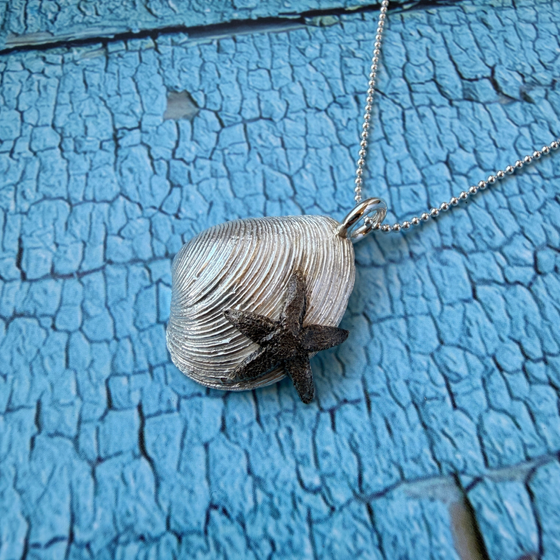anhaenger:silber_venusmuschel_ostsee