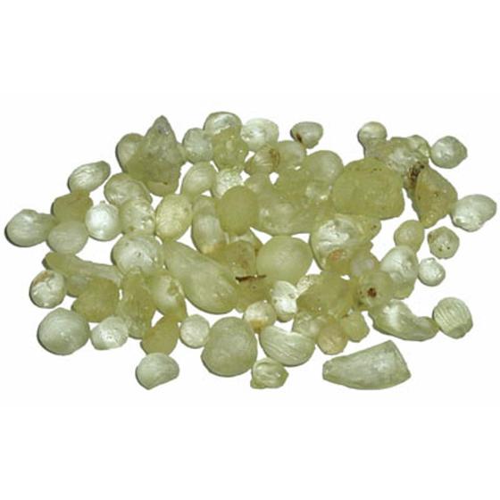 Mastix Pflanzenhelfer