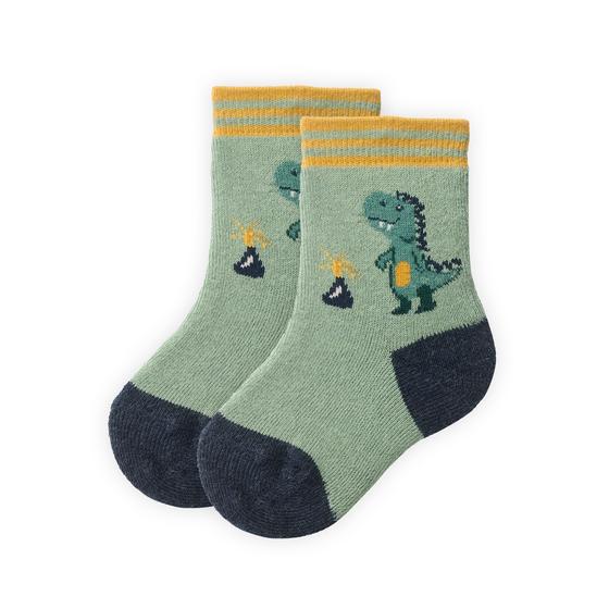 People wear Organic Frottee Socken Dinosaurier Salbei