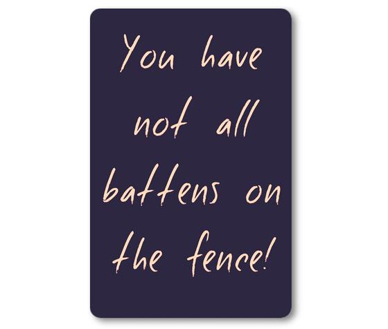 Kraeftiger Kuehlschrankmagnet aus Magnetfolie in ungefaehrer Groesse einer Bankkarte - Beste Denglisch-Sprueche - You have not all battens on the fence. 