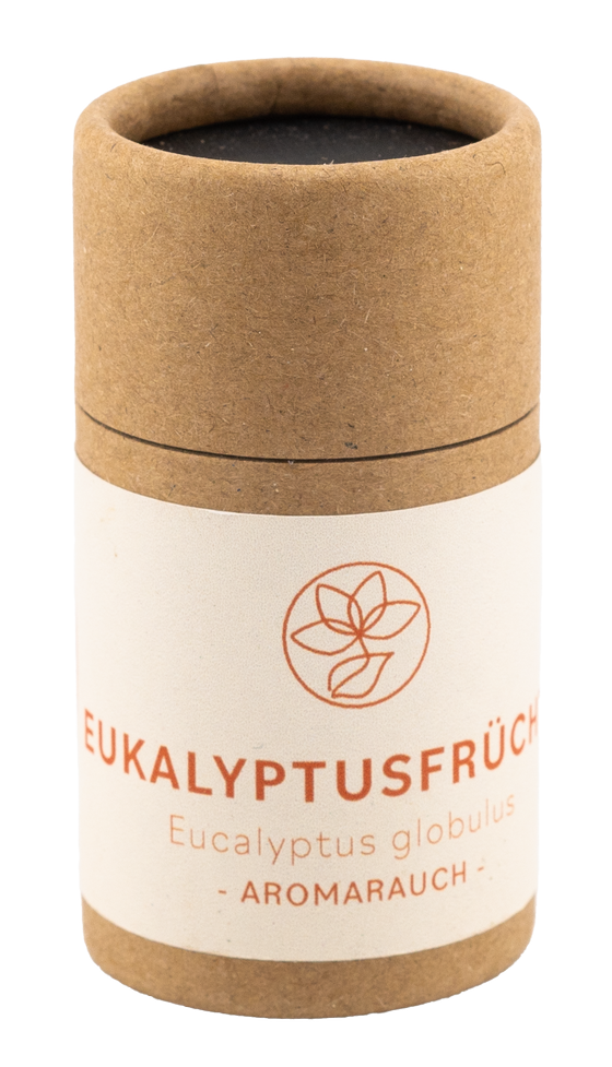 Eukalyptusfrüchte