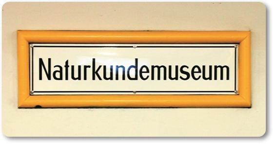 Ubahnhof Naturkundemuseum U-Bahn Souvenir Magnet Kühlschrankmagnet Berlin von tom bäcker - U6 Mitte - Zinnowitzer Straße - Invalidenstraße - Hauptbahnhof - Schwartzkopffstraße - Oranienburger Tor - Charité